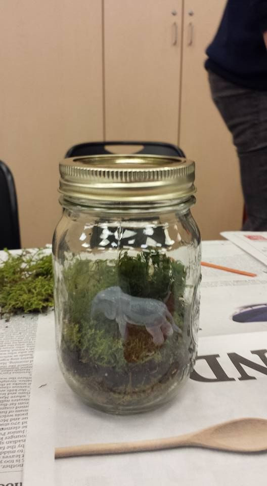 Best ideas about Workshop Ideas For Adults
. Save or Pin DIY Terrarium Workshop – Library Program Guide Now.