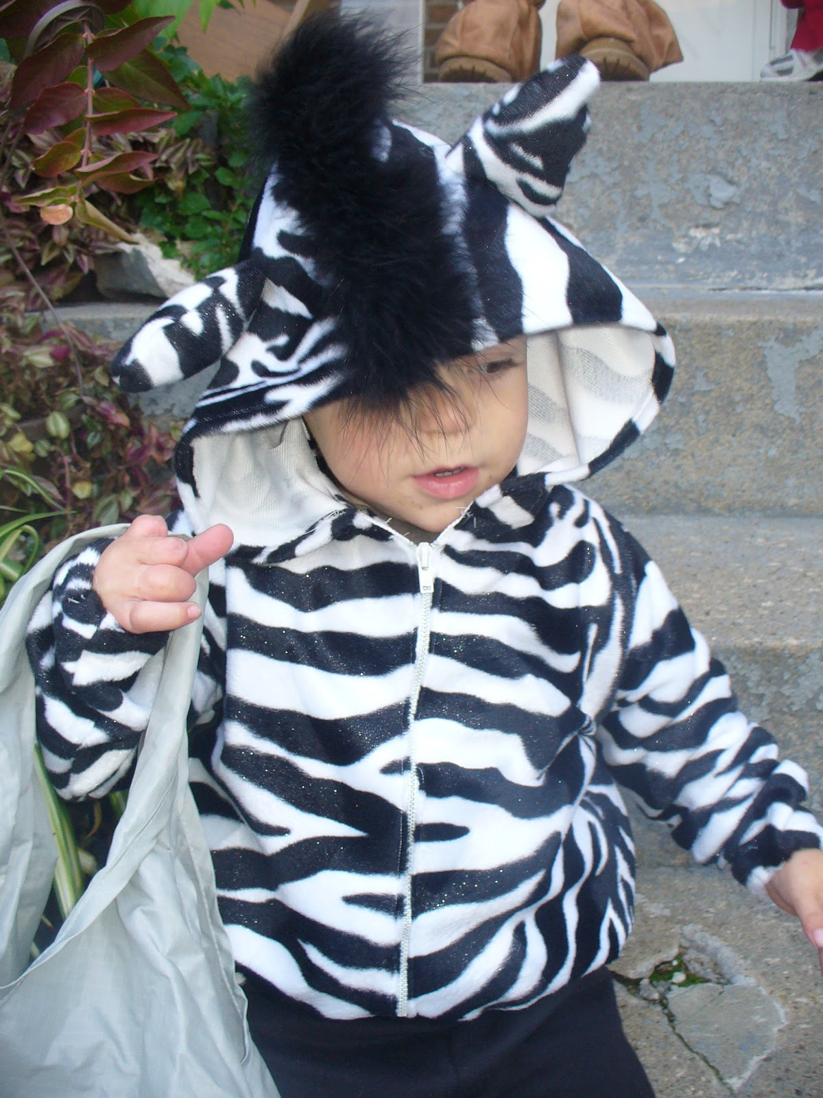 Best ideas about Zebra Costume DIY
. Save or Pin Homemade Zebra Costume For Kids Now.